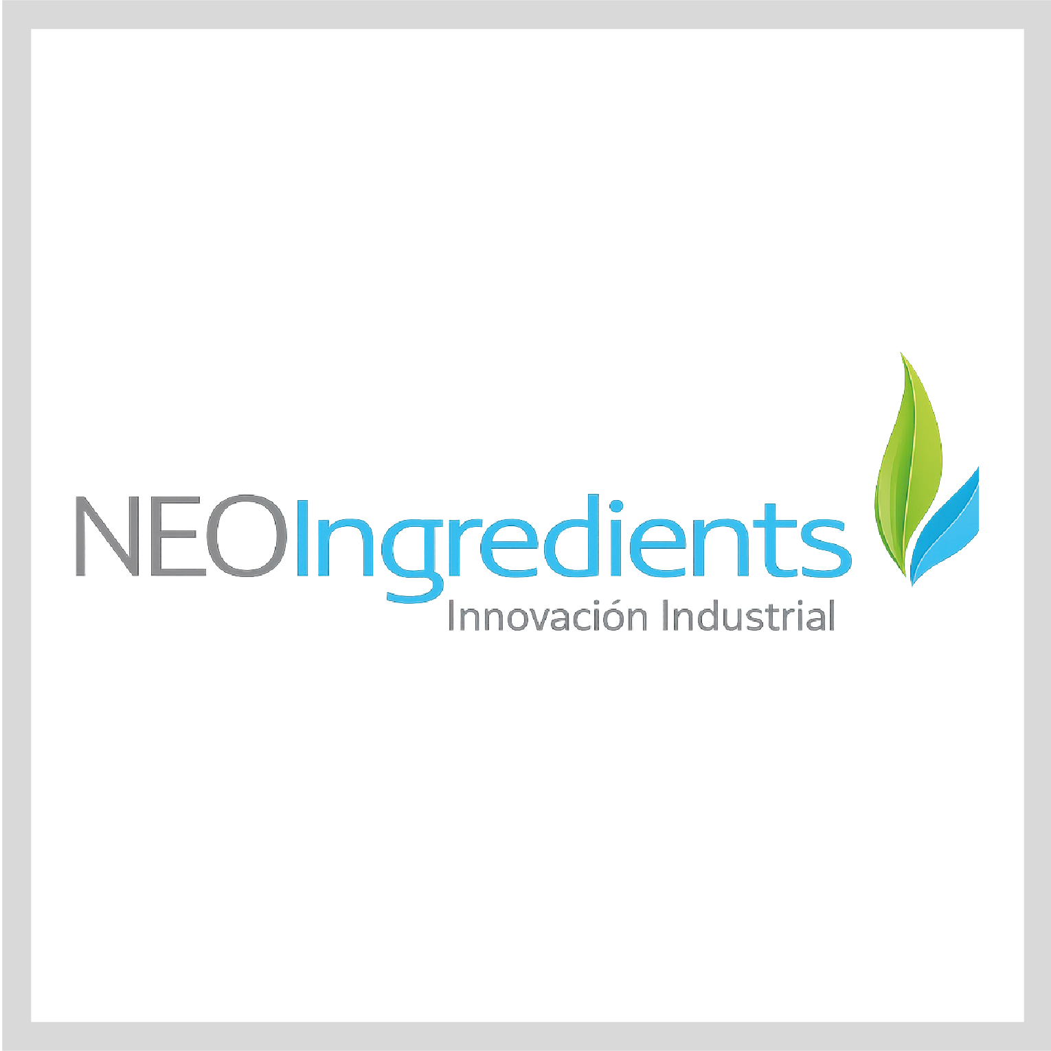 NEOINGREDIENTS S.A.C.